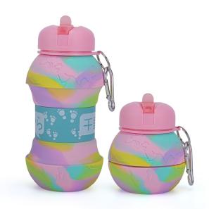 Earth design silicone water bottle